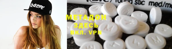 индика Алексин