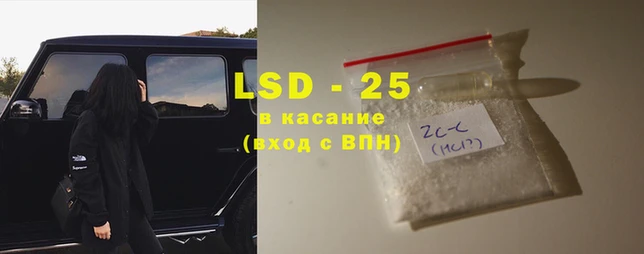 индика Алексин