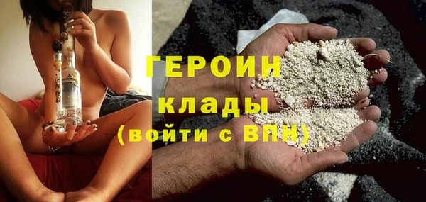индика Алексин