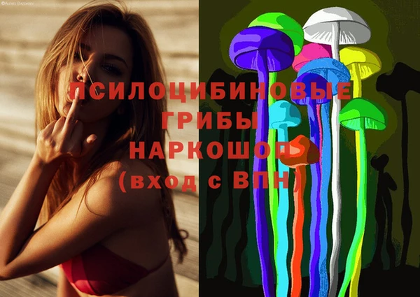 индика Алексин