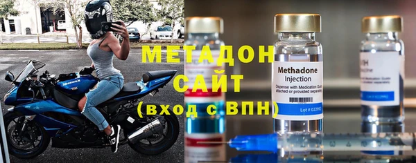 индика Алексин